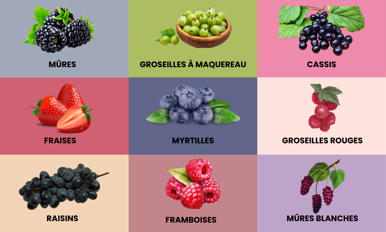 Soft Fruits and Berries