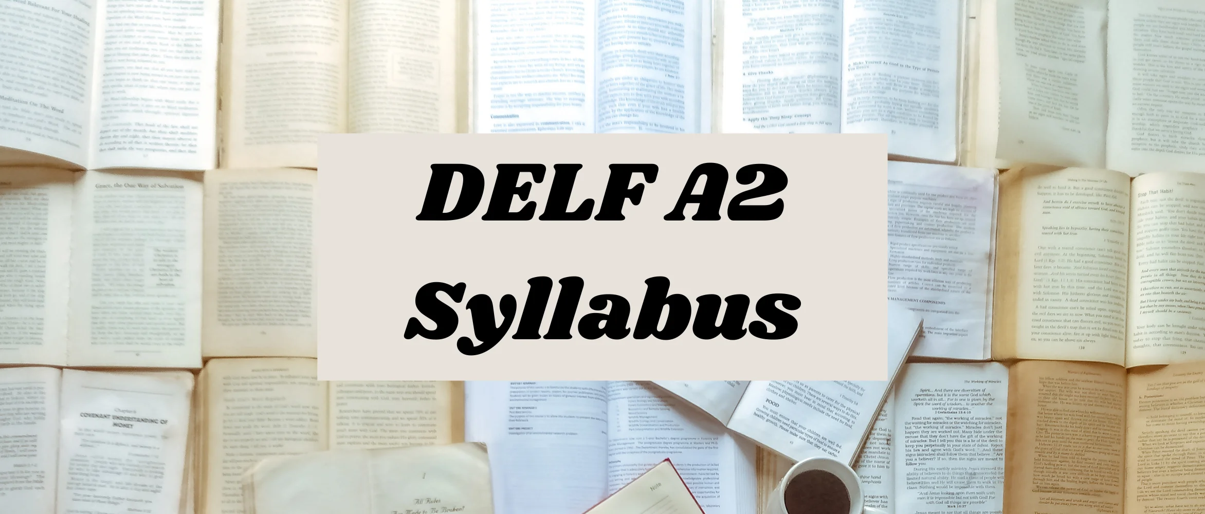 DELF A2 syllabus featured image