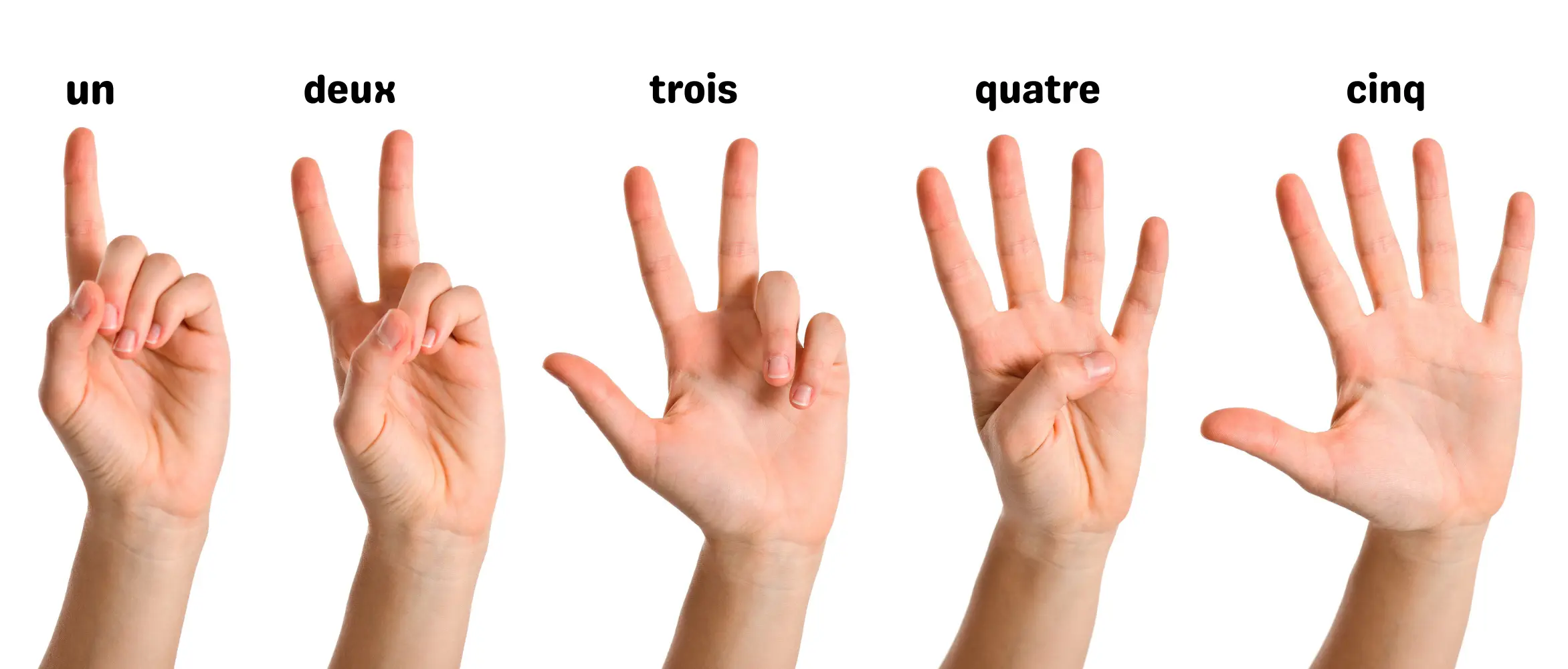 French Numbers featured image