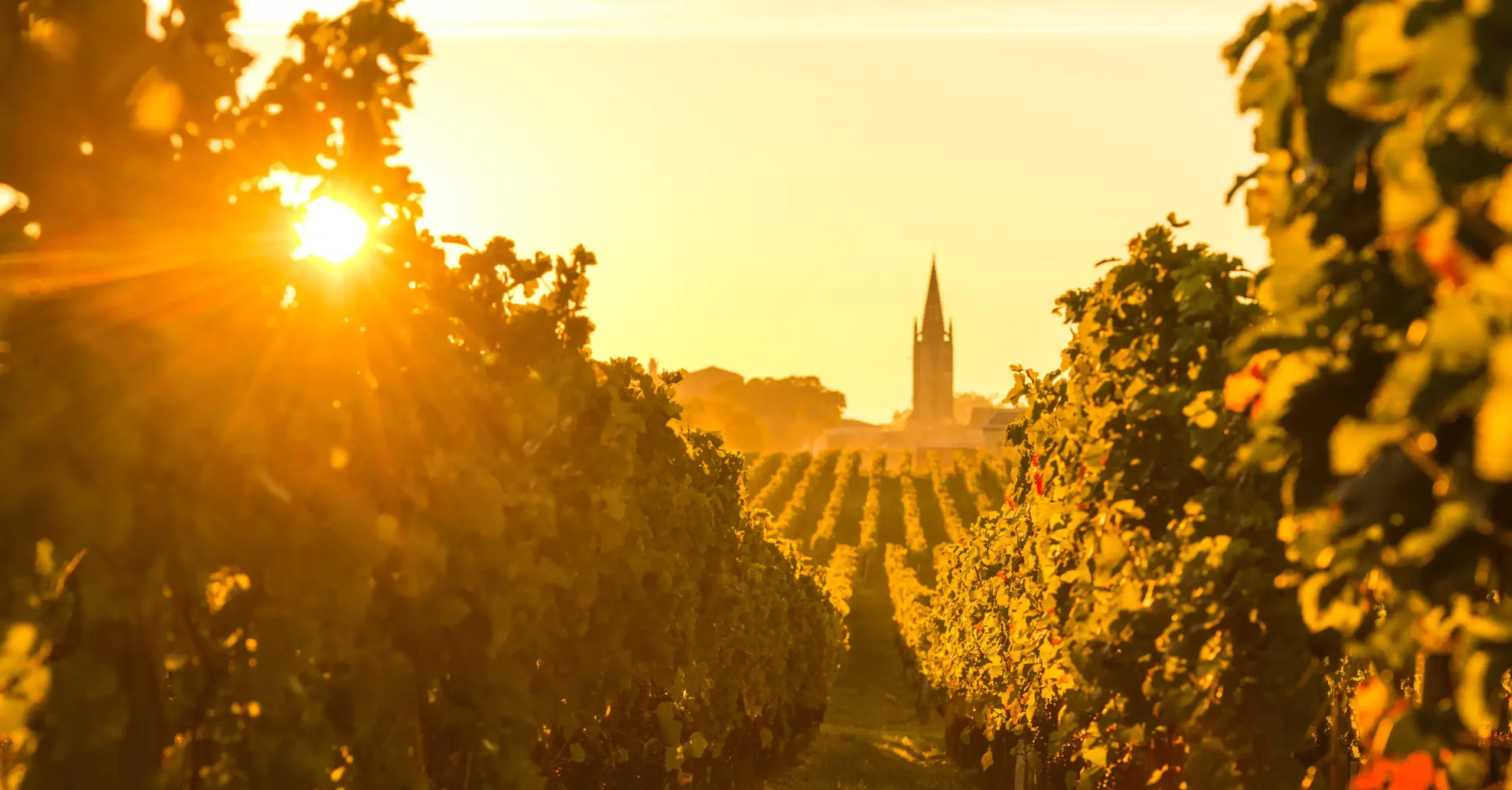 The World’s Wine Capital, Bordeaux