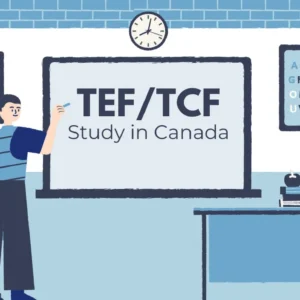 TEF-TCF featured image