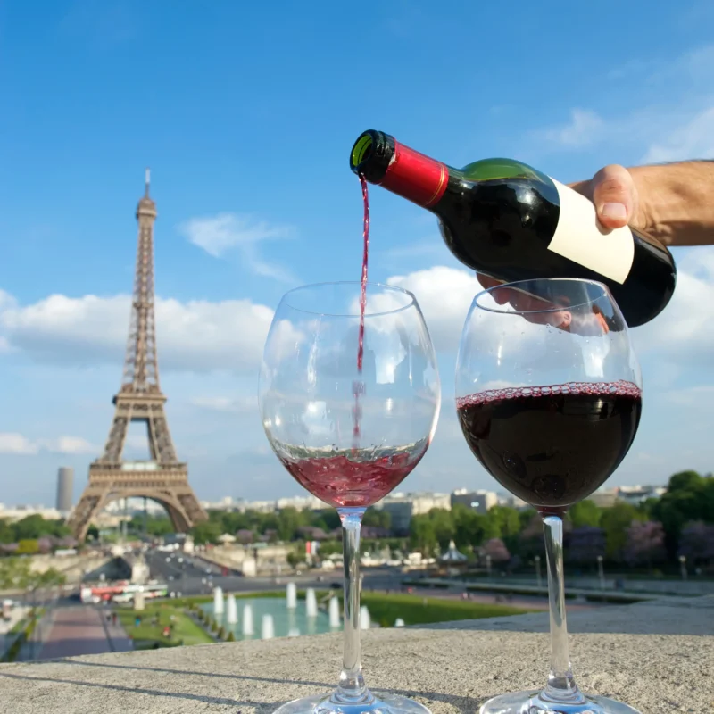 Wine Consumption in France