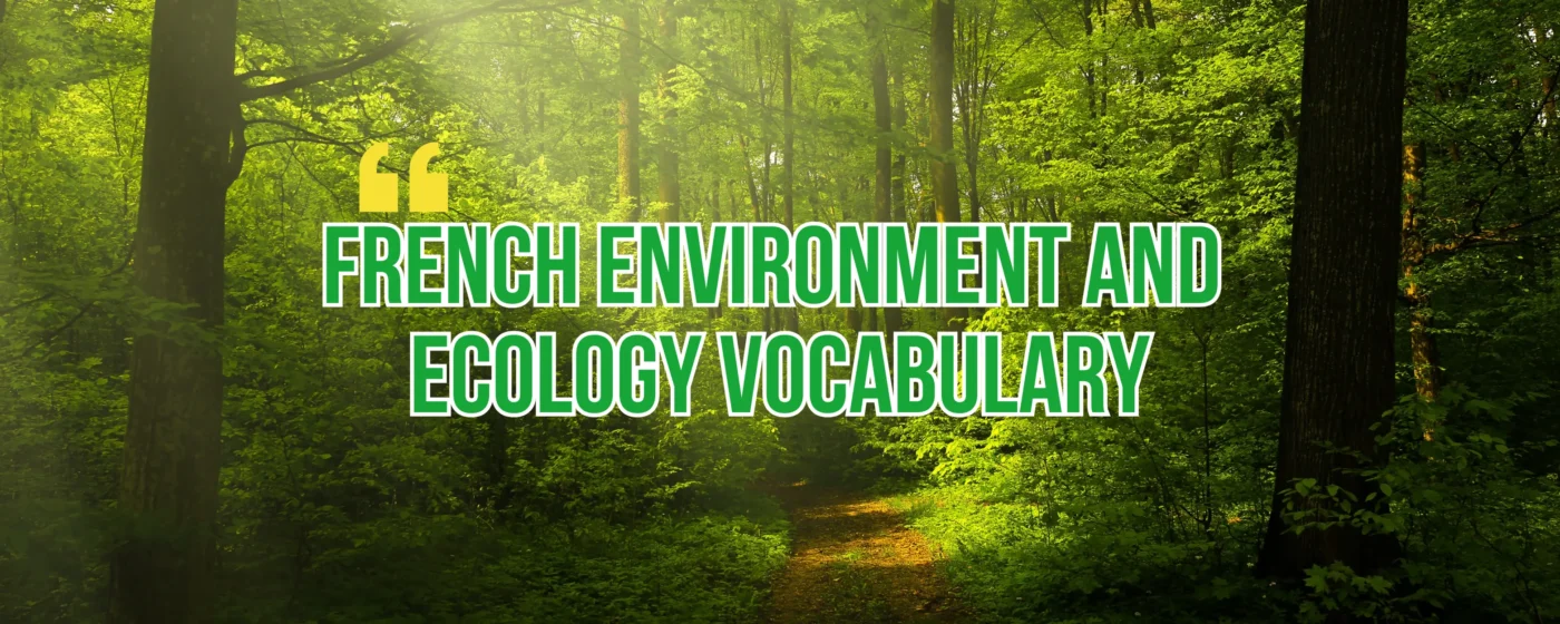 French Environment and Ecology Vocabulary featured image