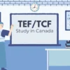 TEF_TCF